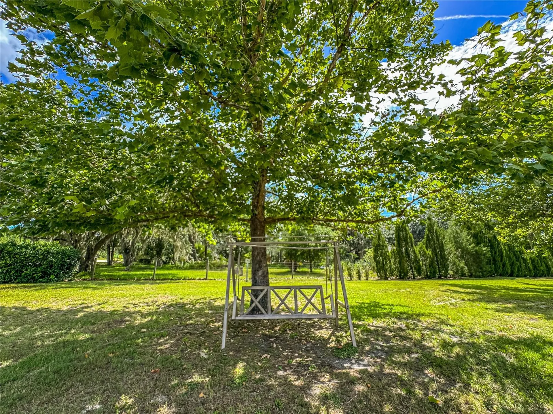 5533 Tower Road Land O Lakes FL 34638