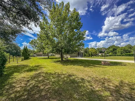 5533 Tower Road Land O Lakes FL 34638