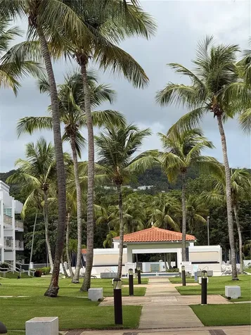 968 Road Las Picuas Rio Grande PR 00745
