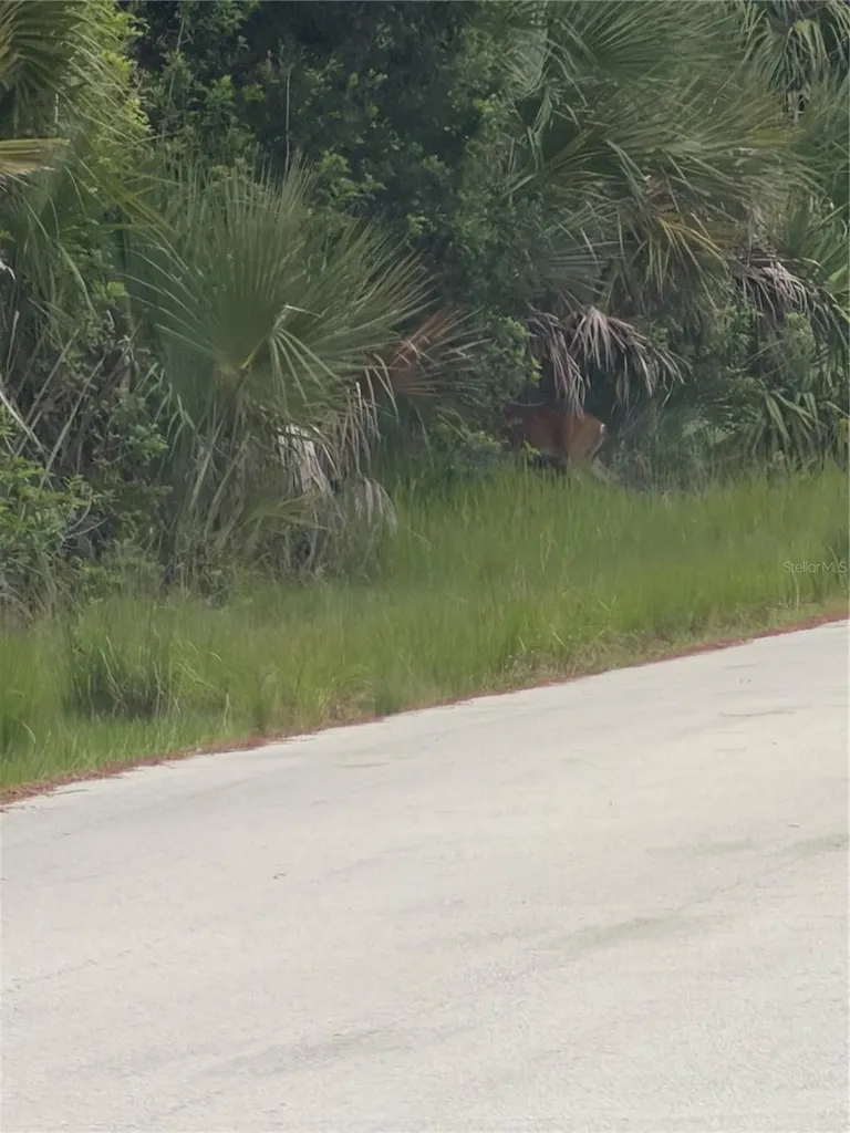 Tbd SW 129th Loop Ocala FL 34473