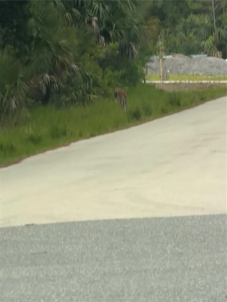 Tbd SW 129th Loop Ocala FL 34473