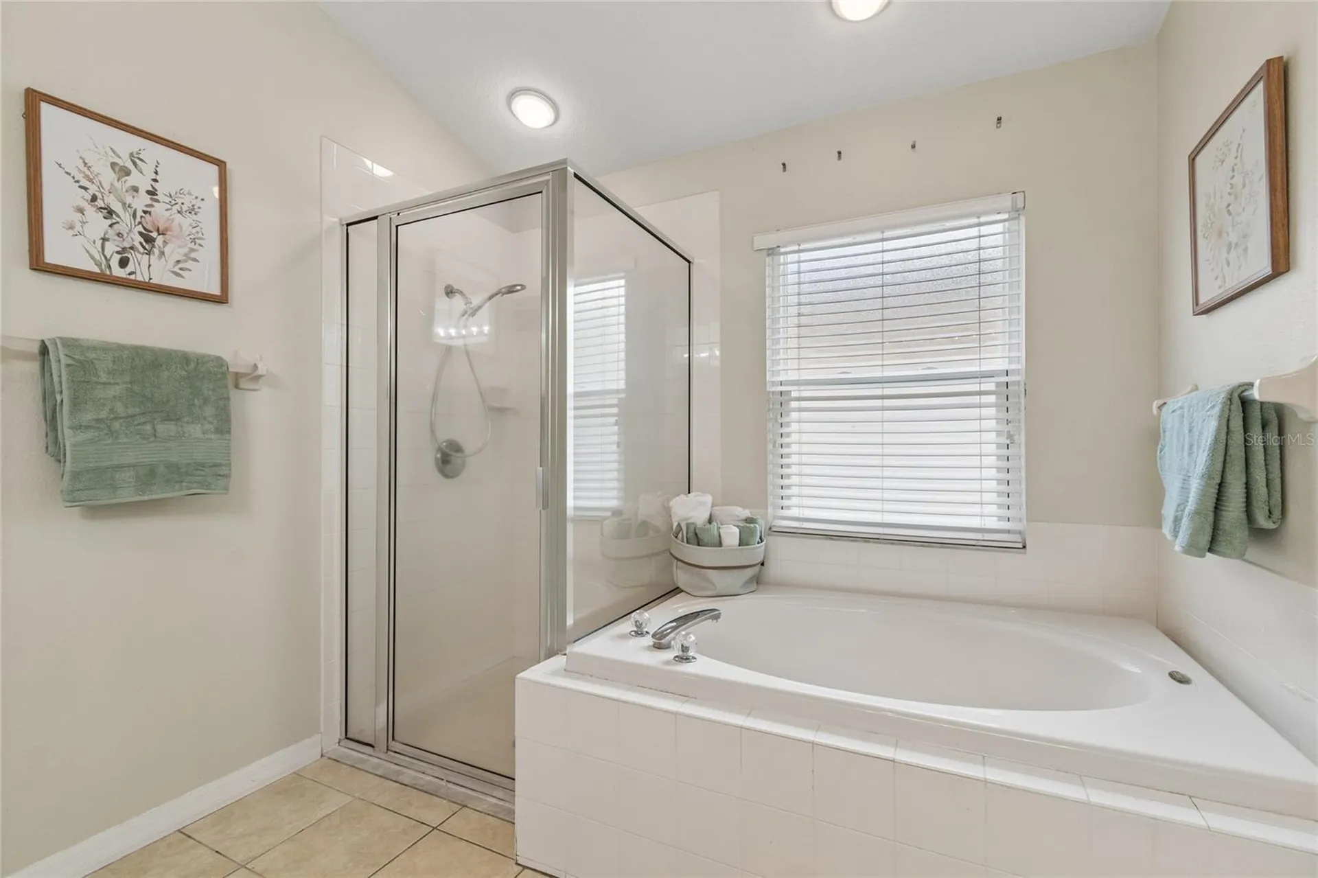 18868 Maisons Drive Lutz FL 33558