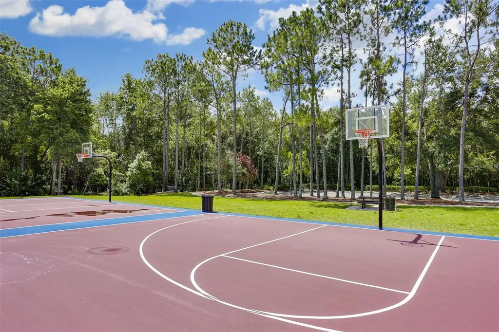 9419 Greenpointe Drive Tampa FL 33626