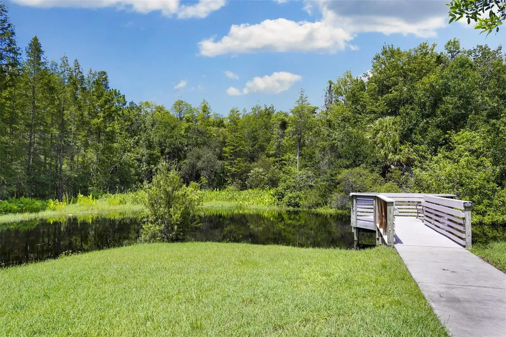 9419 Greenpointe Drive Tampa FL 33626