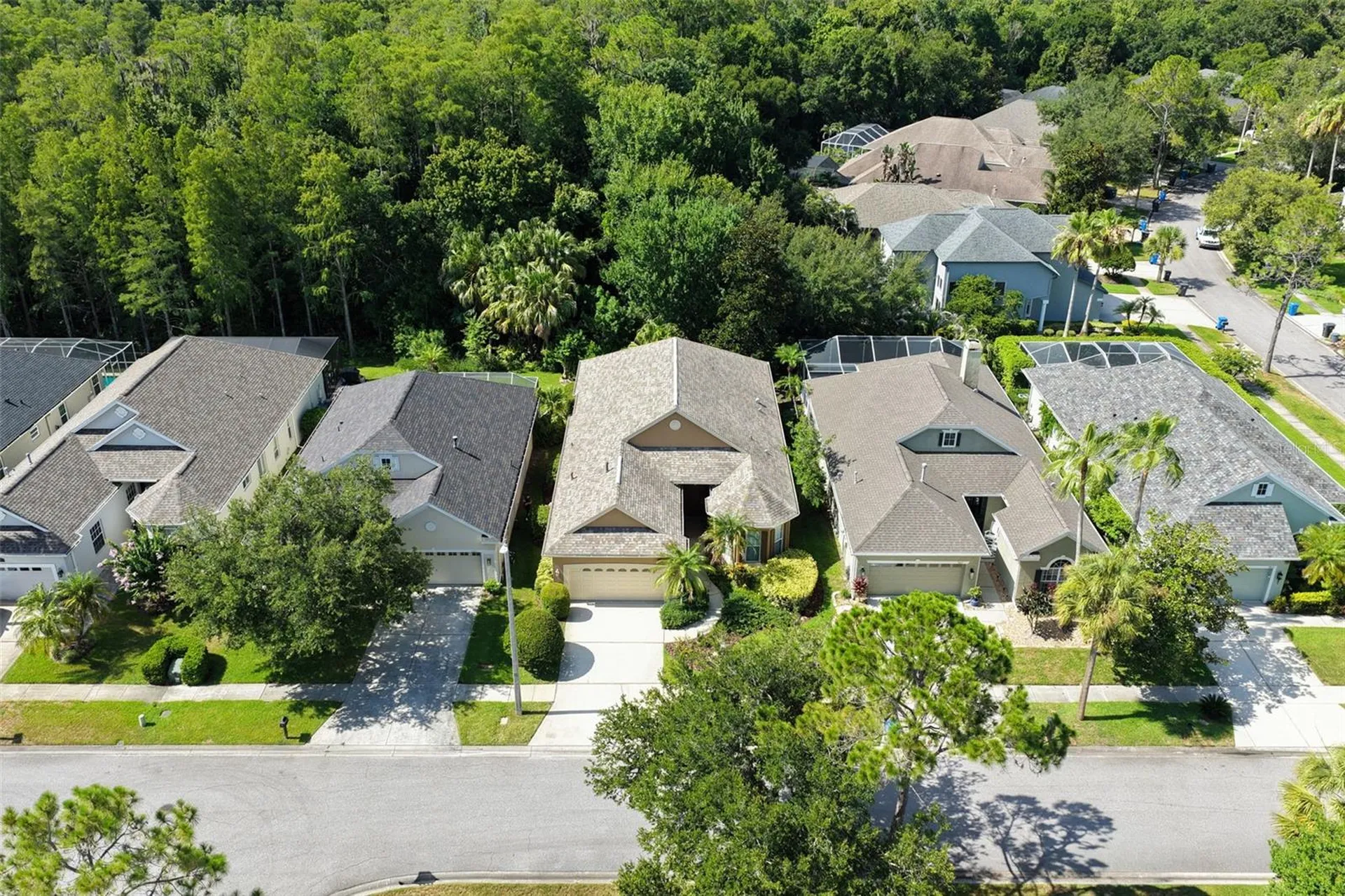 9419 Greenpointe Drive Tampa FL 33626