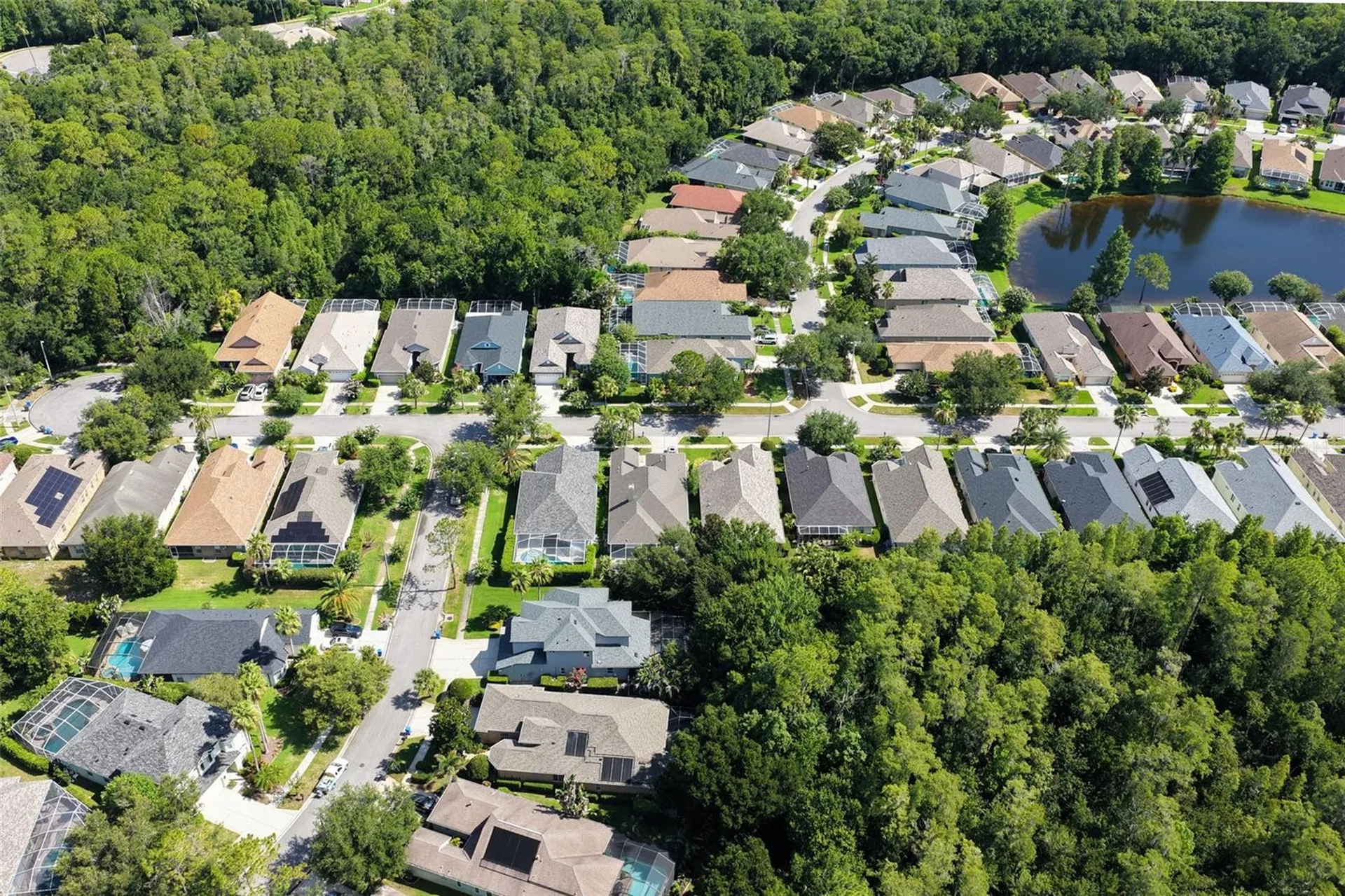 9419 Greenpointe Drive Tampa FL 33626