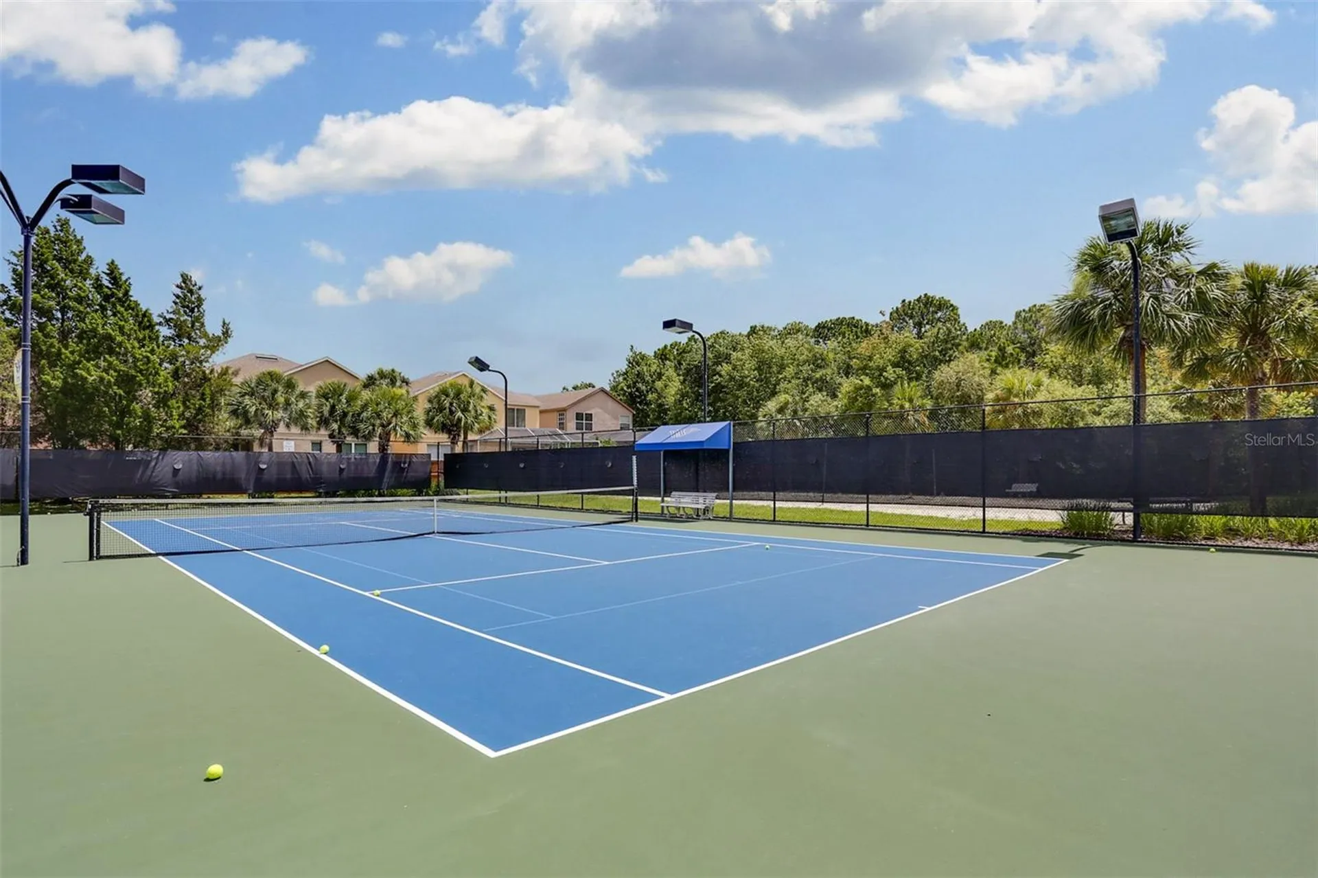 9419 Greenpointe Drive Tampa FL 33626