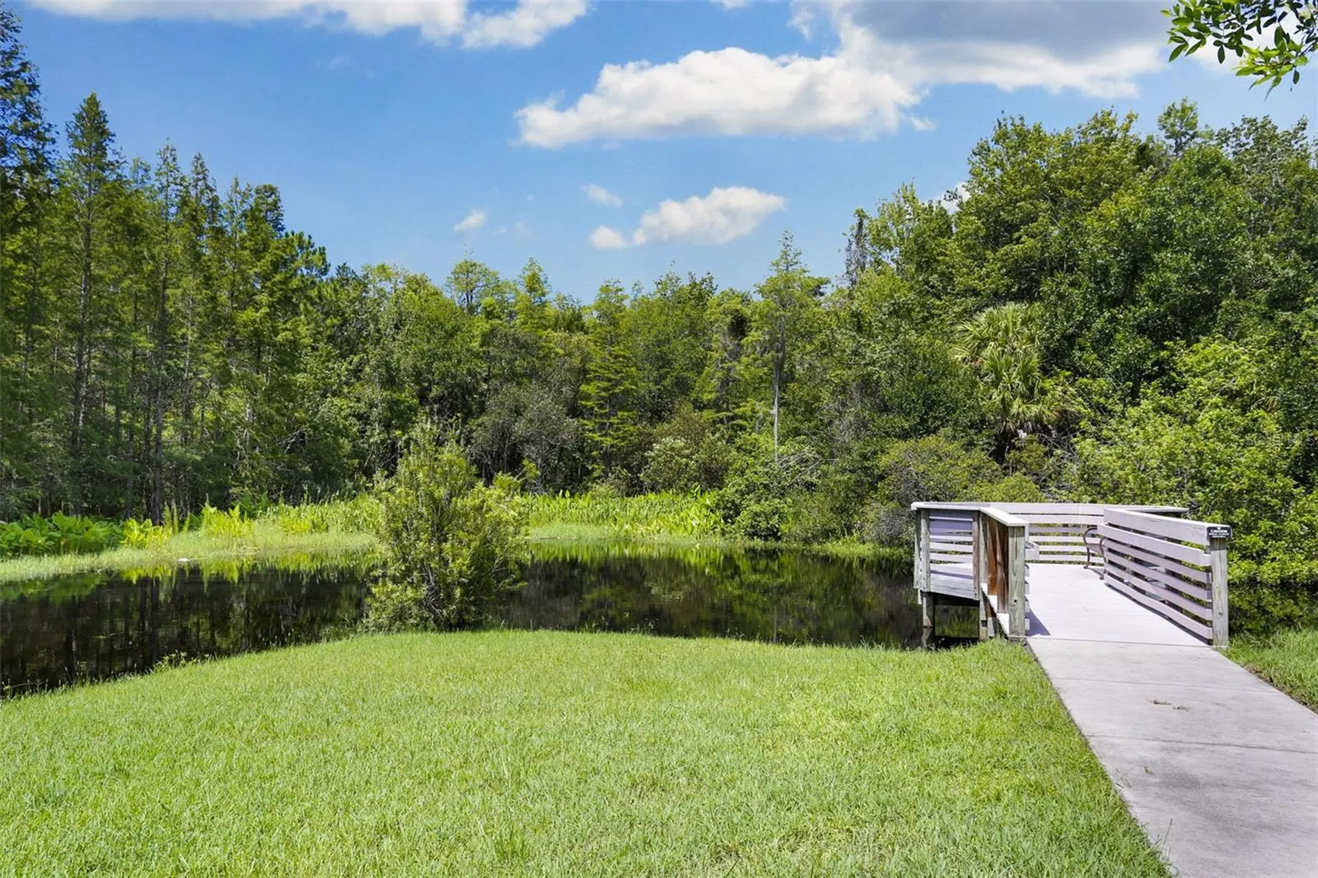 9419 Greenpointe Drive Tampa FL 33626