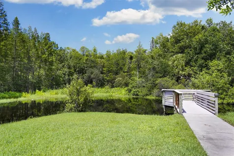 9419 Greenpointe Drive Tampa FL 33626