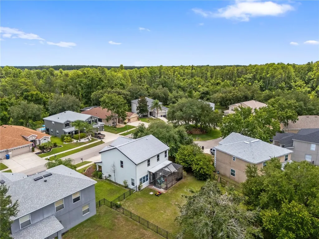 6053 Everlasting Place Land O Lakes FL 34639