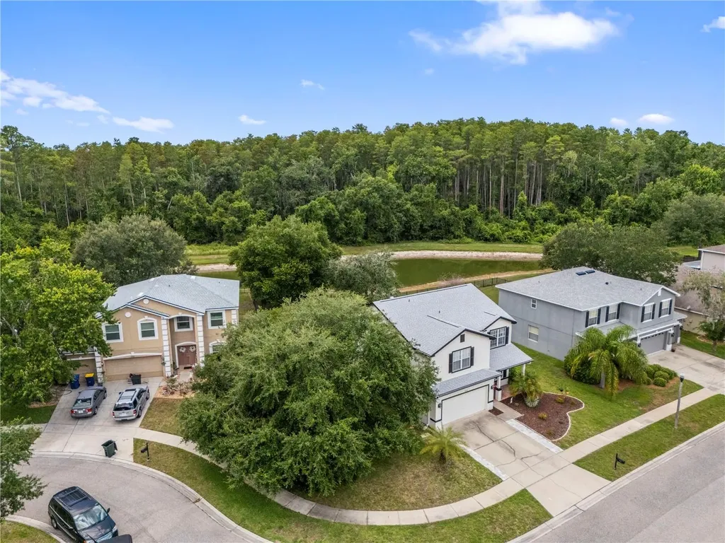 6053 Everlasting Place Land O Lakes FL 34639