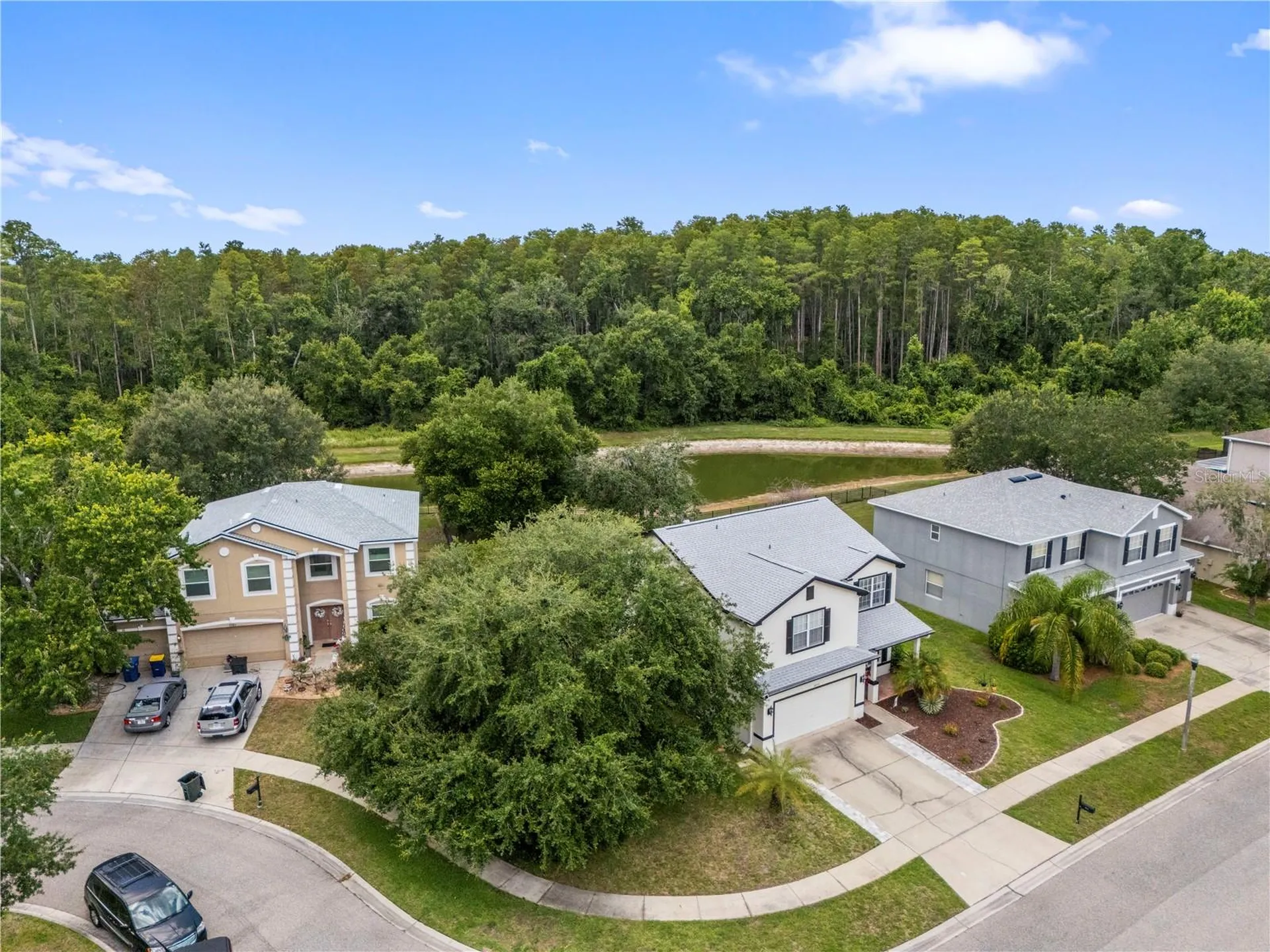 6053 Everlasting Place Land O Lakes FL 34639