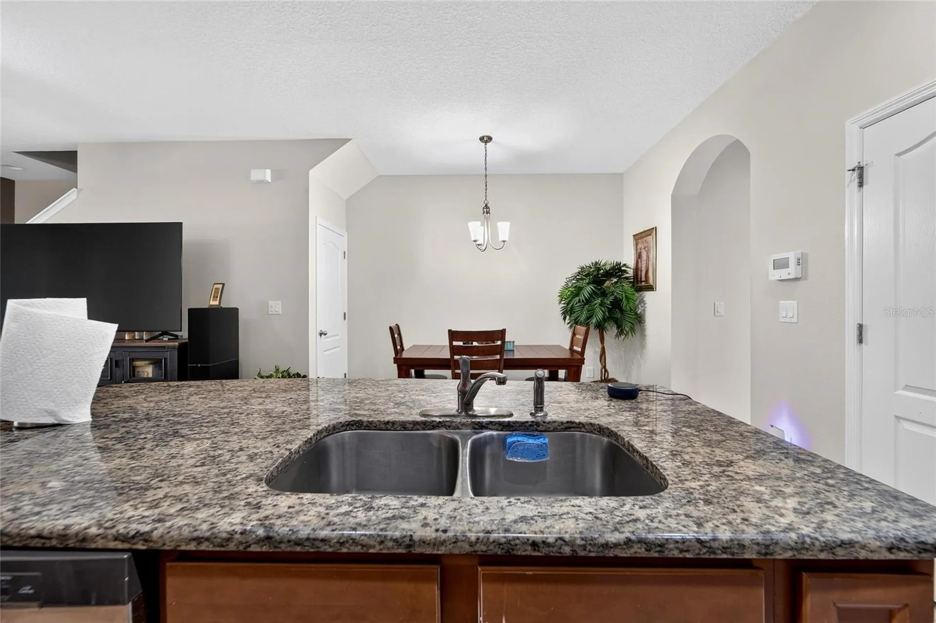 10411 Red Carpet Court Riverview FL 33578
