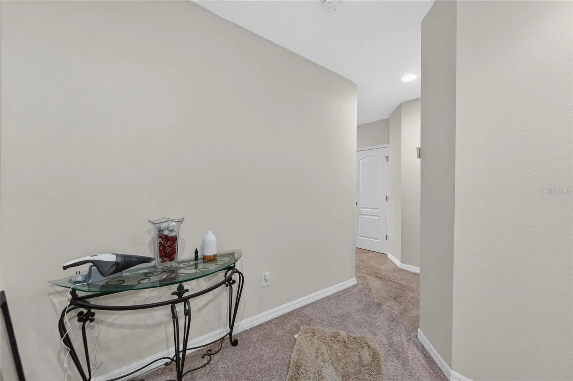 10411 Red Carpet Court Riverview FL 33578