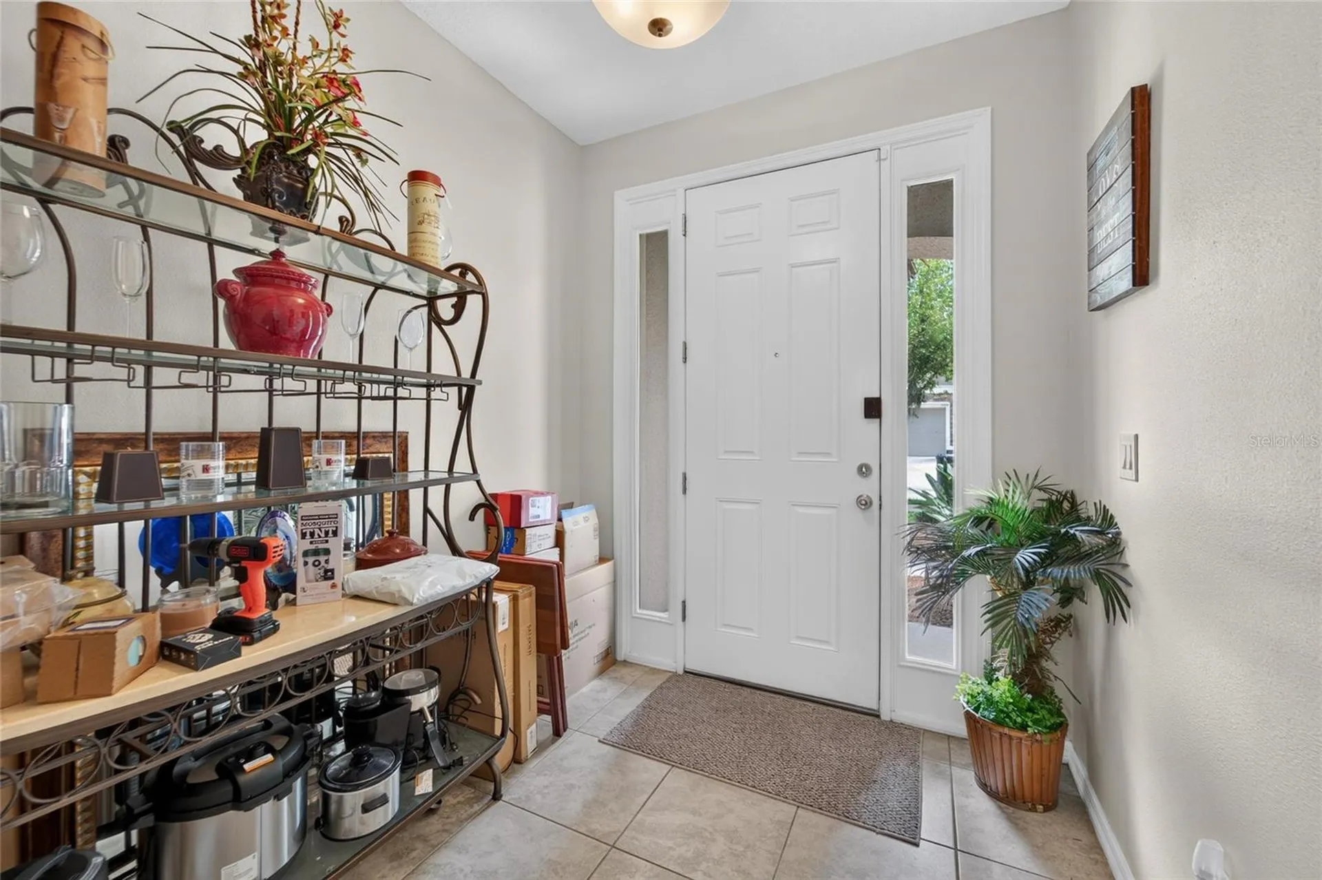 10411 Red Carpet Court Riverview FL 33578