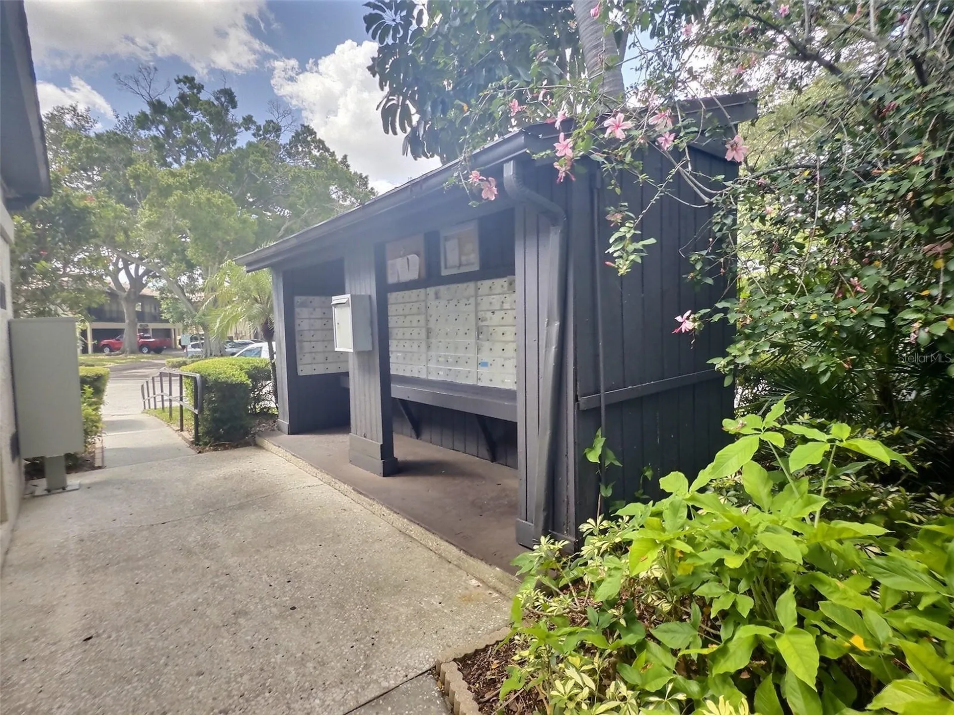 2922 Lichen Lane Clearwater FL 33760
