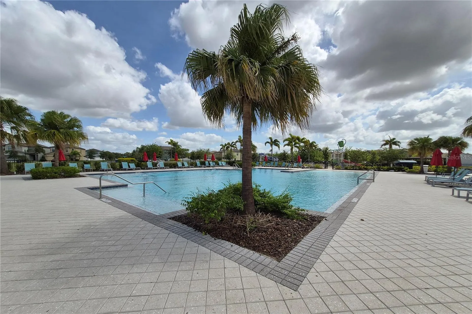 3615 Cat Mint Street Tampa FL 33619