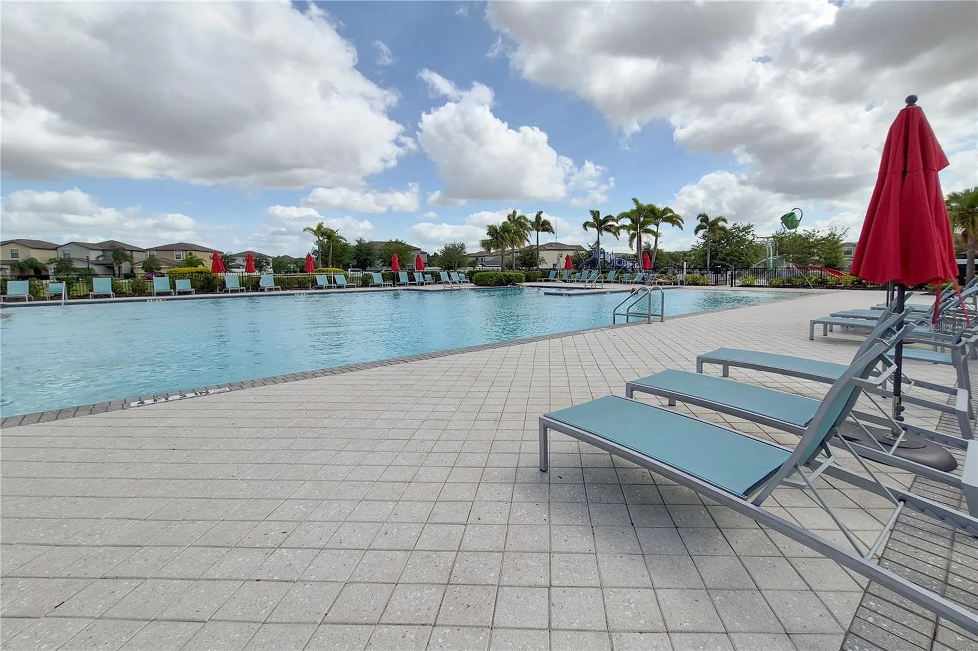 3615 Cat Mint Street Tampa FL 33619