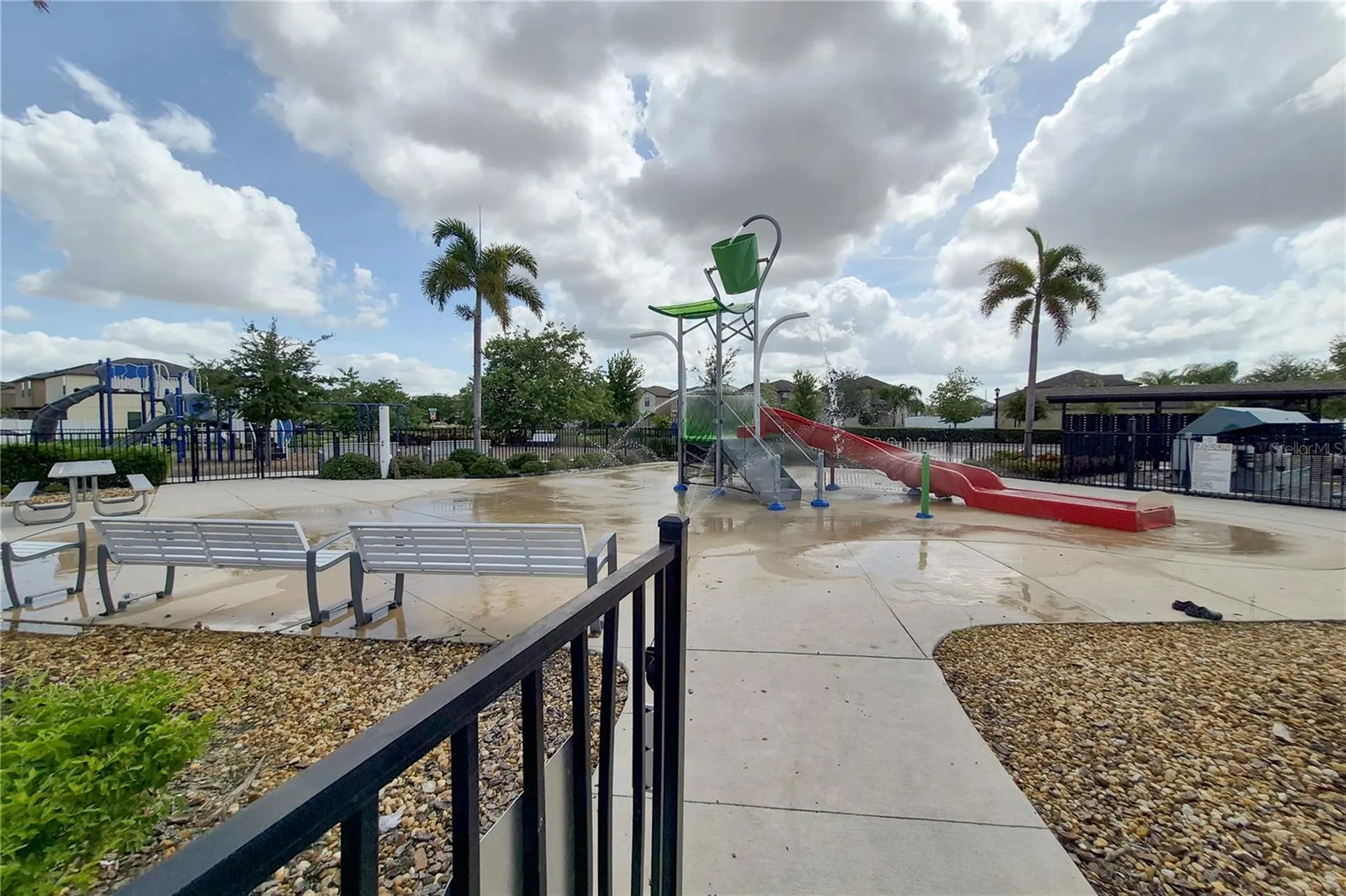 3615 Cat Mint Street Tampa FL 33619