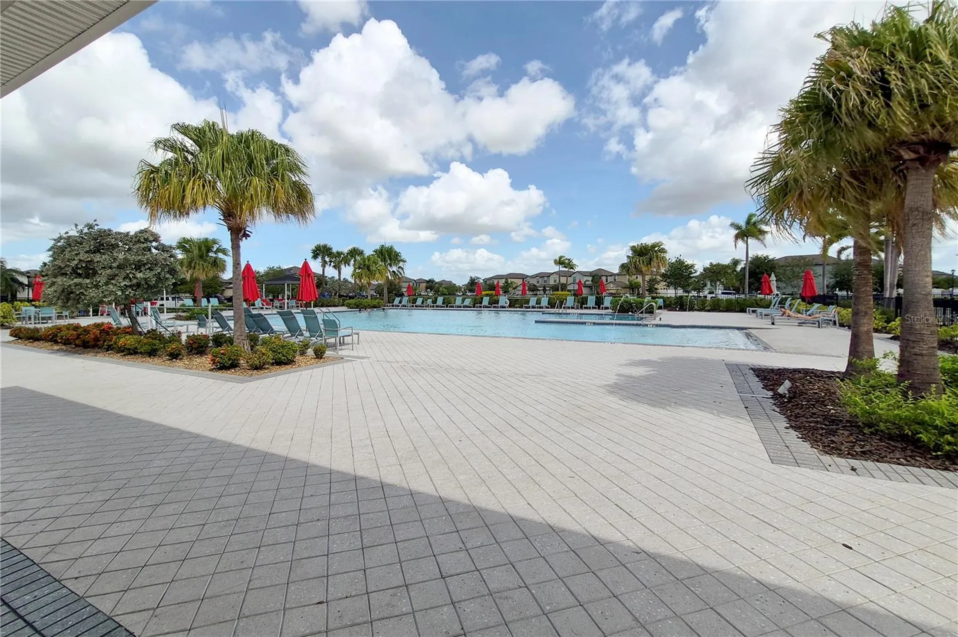 3615 Cat Mint Street Tampa FL 33619
