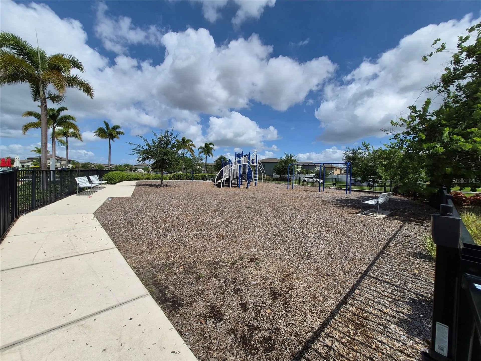 3615 Cat Mint Street Tampa FL 33619