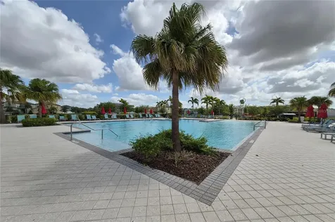 3615 Cat Mint Street Tampa FL 33619