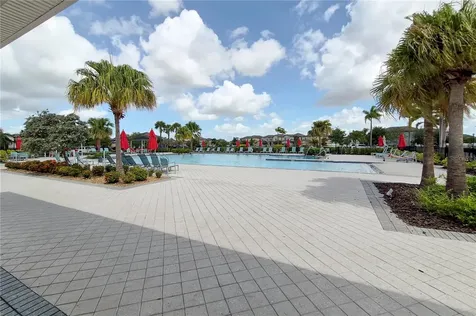 3615 Cat Mint Street Tampa FL 33619