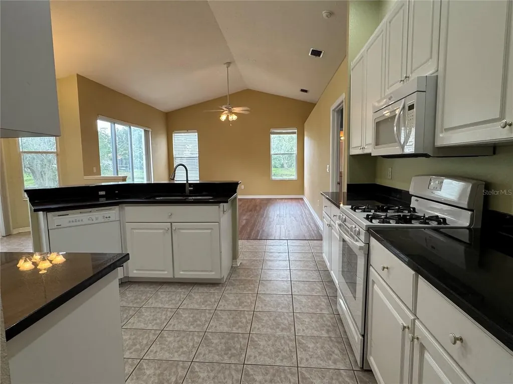 10207 Quails Landing Avenue Tampa FL 33647