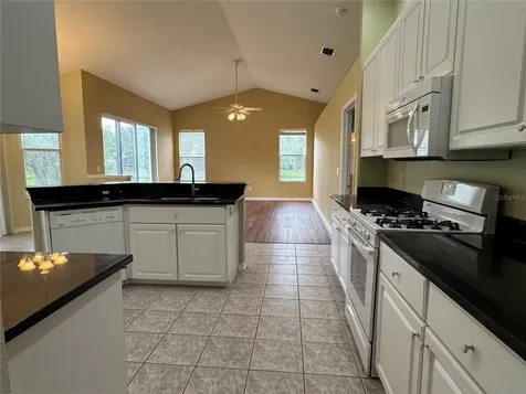 10207 Quails Landing Avenue Tampa FL 33647