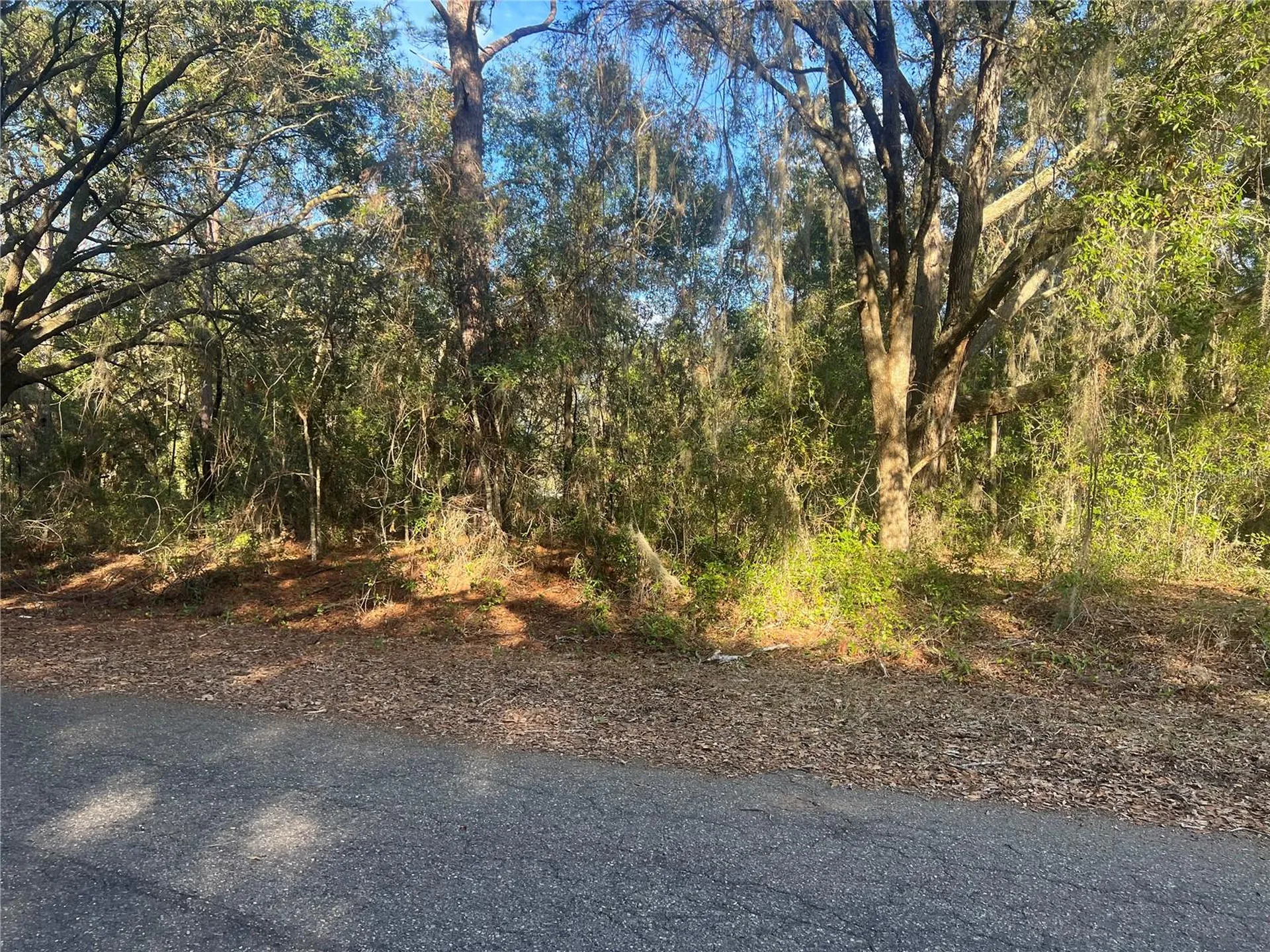 Guava Terrace Ocklawaha FL 32179