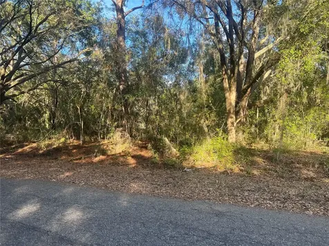 Guava Terrace Ocklawaha FL 32179