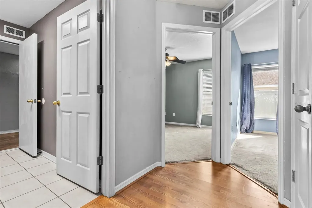 1239 Avonwood Court Lutz FL 33559