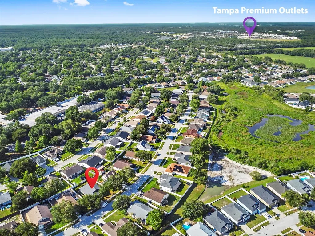 1239 Avonwood Court Lutz FL 33559