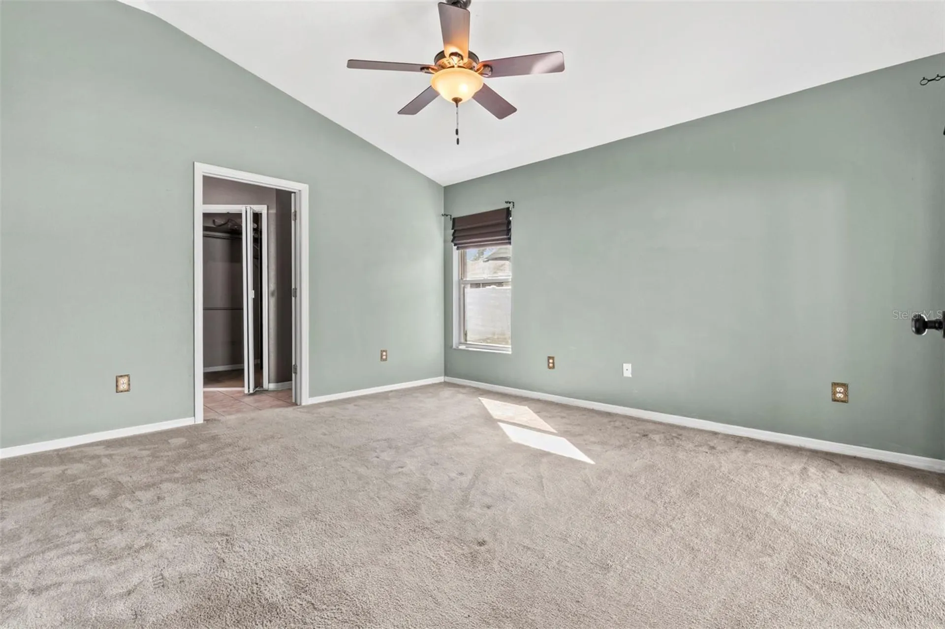 1239 Avonwood Court Lutz FL 33559