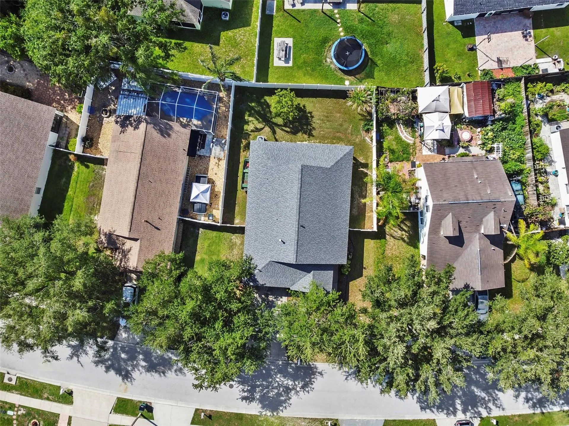 1239 Avonwood Court Lutz FL 33559