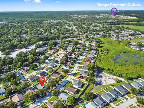 1239 Avonwood Court Lutz FL 33559
