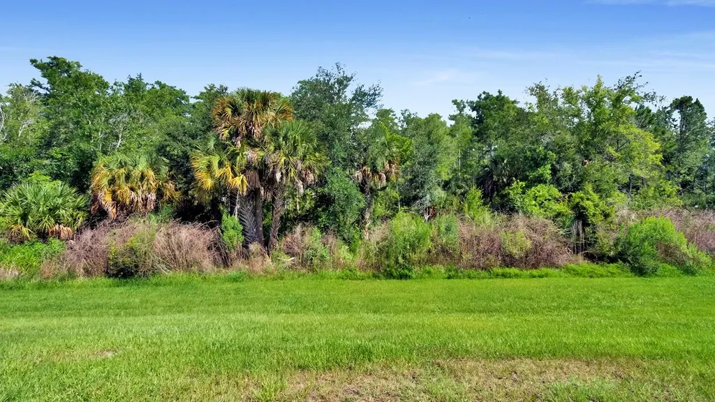 3569 Mayfair Street Kissimmee FL 34758