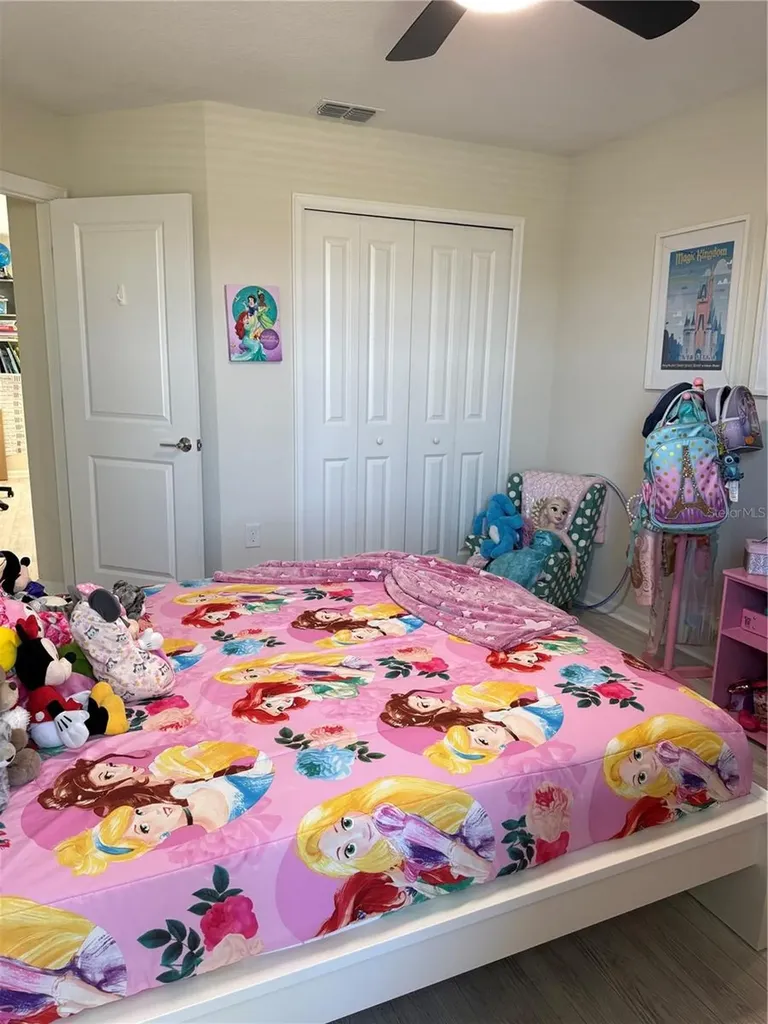 8999 Fluffy Lie Court Davenport FL 33896