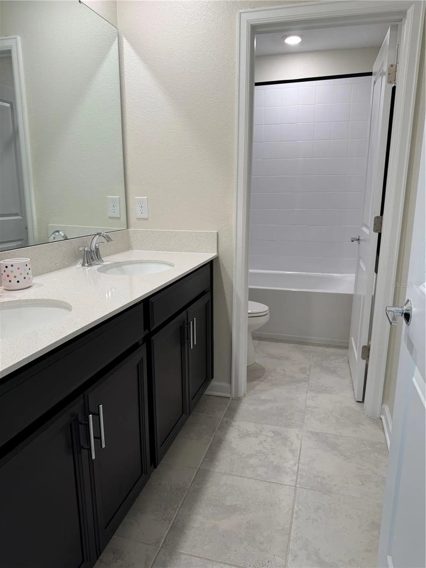 8999 Fluffy Lie Court Davenport FL 33896