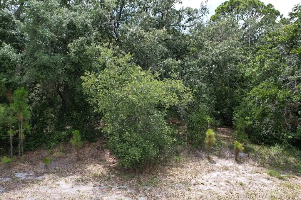 1008 Wildflower Street Lake Placid FL 33852