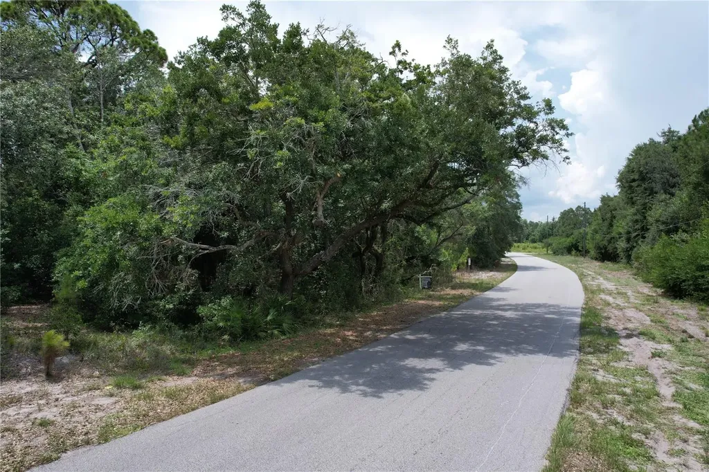 1008 Wildflower Street Lake Placid FL 33852