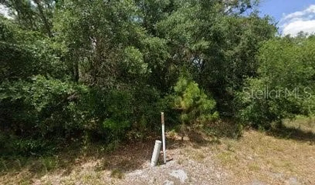 1008 Wildflower Street Lake Placid FL 33852