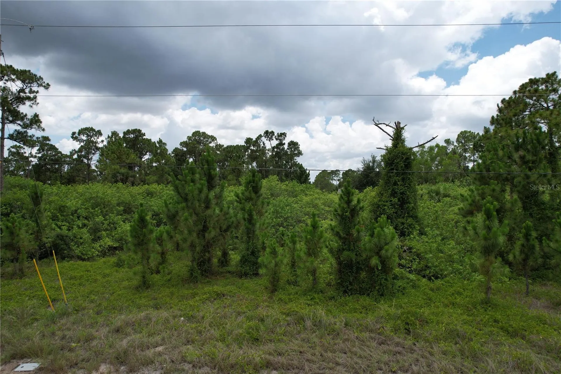 980 Lakeside Drive Lehigh Acres FL 33974