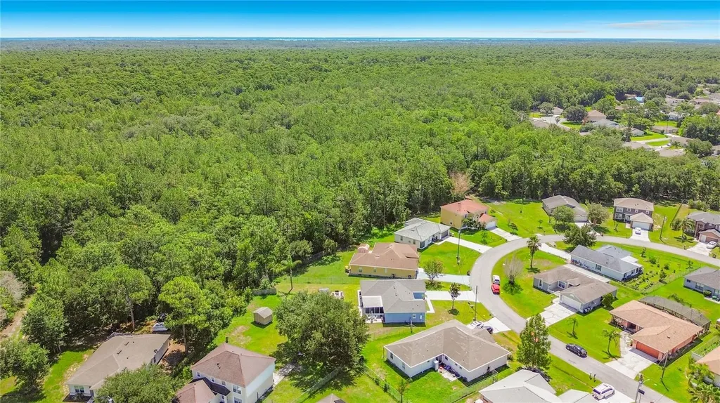 1124 Dartford Drive Kissimmee FL 34758