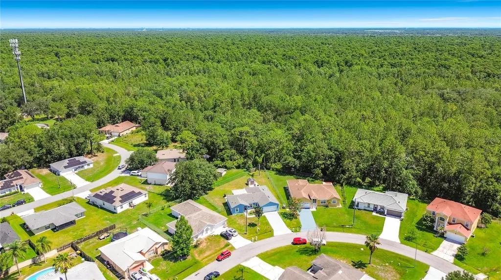 1124 Dartford Drive Kissimmee FL 34758