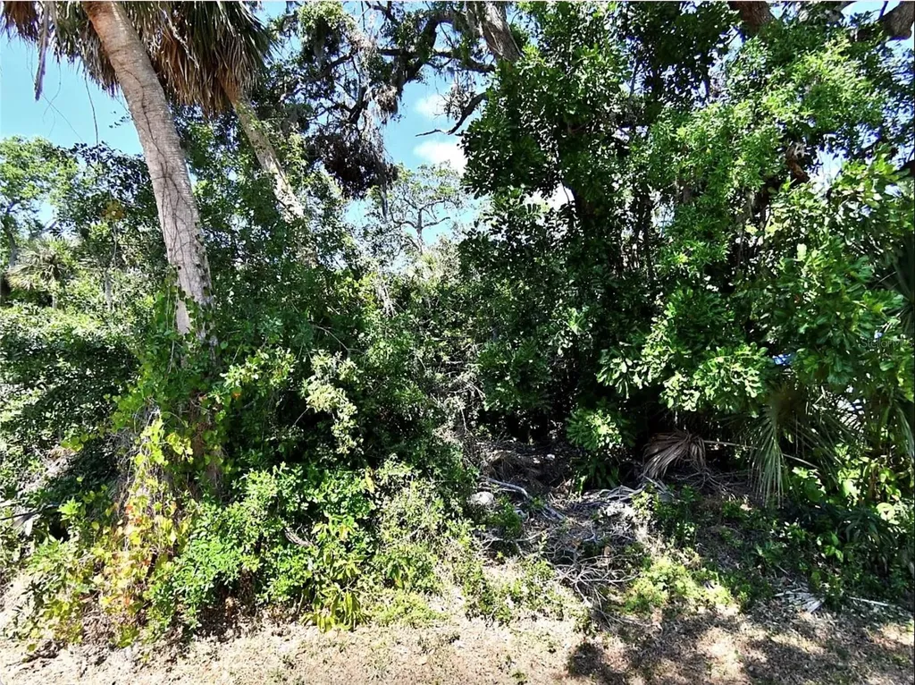 Foxglove Road Venice FL 34293