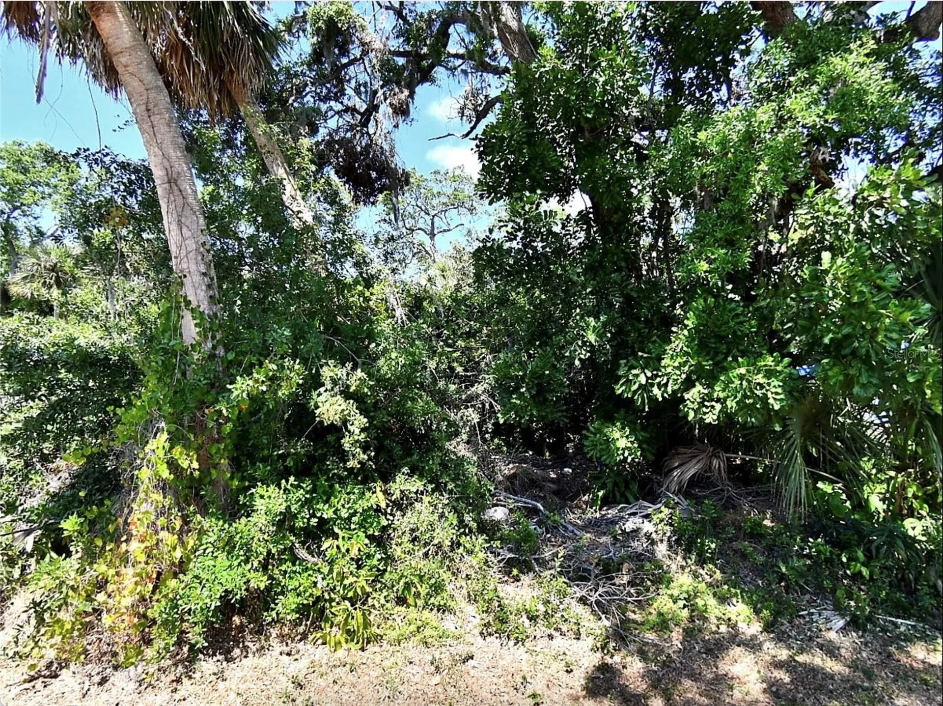 Foxglove Road Venice FL 34293