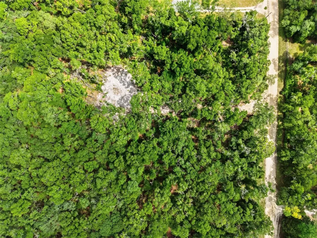Lot 4 NW 78th Avenue Chiefland FL 32626