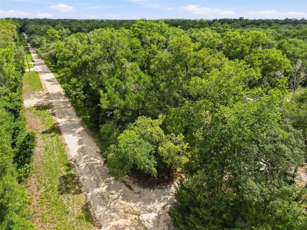 Lot 4 NW 78th Avenue Chiefland FL 32626