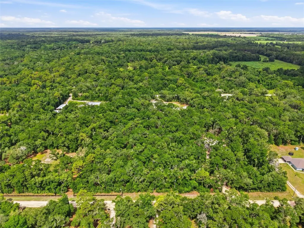 Lot 4 NW 78th Avenue Chiefland FL 32626